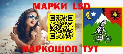 стафф Шелехов
