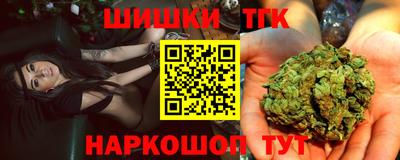 стафф Шелехов