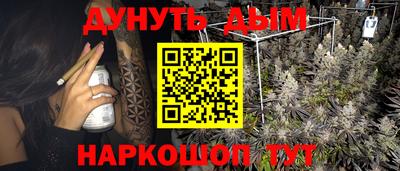 стафф Шелехов