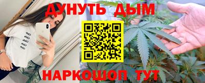 стафф Шелехов