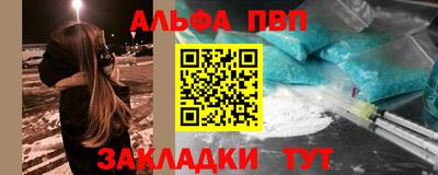 стафф Шелехов